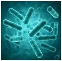 Ingredients of FemiCore and Their Benefits